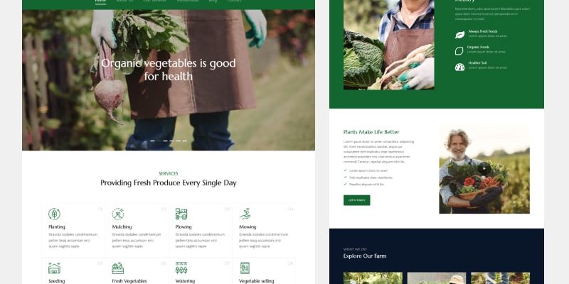 Agriculture бесплатный Bootstrap-шаблон для сельского хозяйства